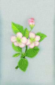 Hedgerow H 10 Apple Blossom