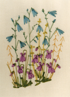 Harebell and Violet
