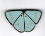 1143 Blue Butterfly by Just Another Button Company