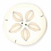 4514.X Extra Large Sand Dollar by Just Another Button Company