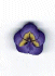 2223.T Tiny Purple Pansy by Just Another Button Company