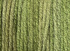 Belle Soie by Classic Colorworks : Kiwi