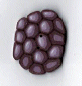 nh1000.L Large Blackberry: Art to Heart : by Just Another Button Company