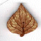 2247.L Large Aspen Leaf by Just Another Button Company