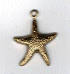 15046 Starfish BR