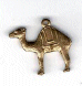 60030 Camel BR