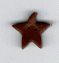 3496.L Large Brown Star  
