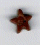 3496.S Small Brown Star  