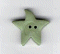 3463.L Large Pale Sage Star 