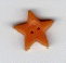 3502.L Large Orange Star 
