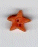 3502.S Small Orange Star 