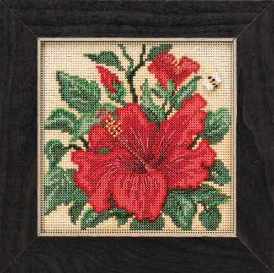 MH14-1915 Hibiscus by Mill  Hill 