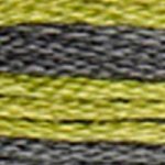 4509 Granite Coast  : Coloris Thread   by DMC 