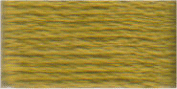 733  - DMC #5 Perle Skein