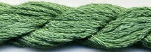 S-050 Acacia 8mt Skein Approx by Dinky Dyes 
