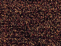 Rainbow Gallery -  PB14 Bronze  - Petite Treasure Braid