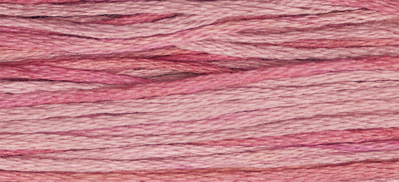 Weeks Dye Works - 2276 Camellia #5  